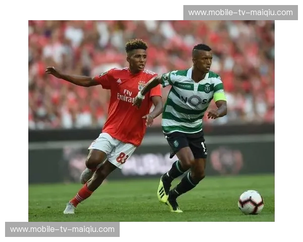 蓝龙之魂:在波尔图vs世界的博弈中,探寻永恒的信仰与巅峰对决 蓝龙之魂:在波尔图vs世界的博弈中,探寻永恒的信仰与巅峰对决